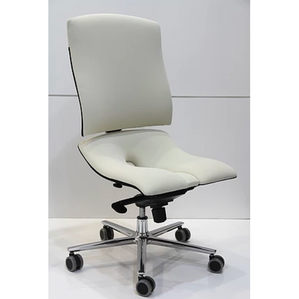 Ergonomická židle Ásana Steel Basic